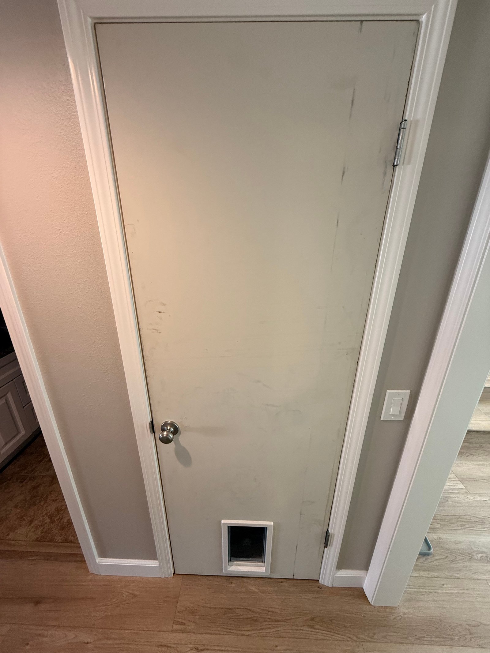 installing a door and a cat hatch